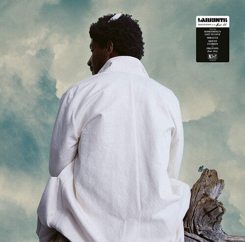 Labrinth: Imagination & The Misfit Kid [ Record ]