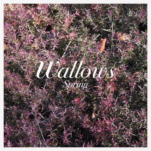 Wallows: Spring [ Record ]