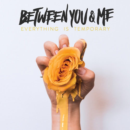 Between You & Me: Everything Is Temporary [ Record ]
