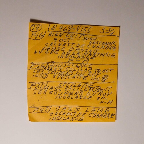 Mac DeMarco: Here Comes The Cowboy Demos [ Record ]