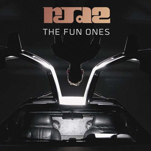 Rjd2: Fun Ones [ Record ]