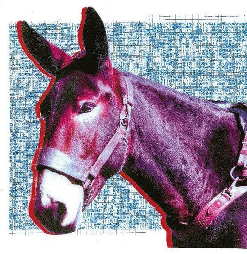 Protomartyr: Ultimate Success Today [ Record ]