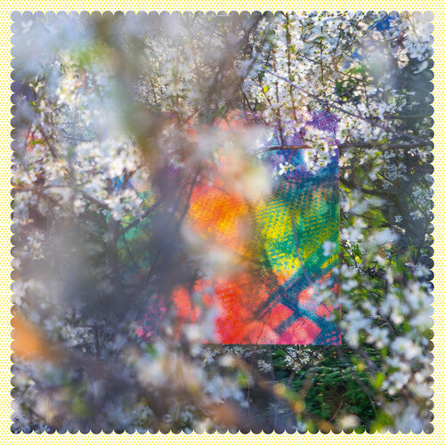 Four Tet: Sixteen Oceans [ Record ]
