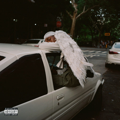 Blood Orange: Negro Swan [ Record ]