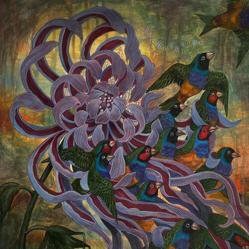 Covet: Technicolor [ Record ]