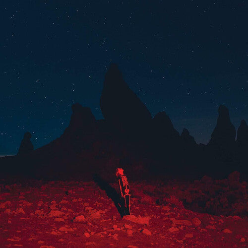 Phoebe Bridgers: Punisher [ Record ]