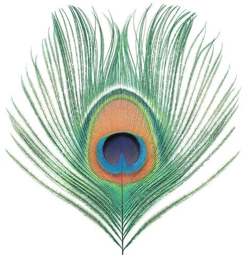 XTC: Apple Venus Vol 1 [ Record ]