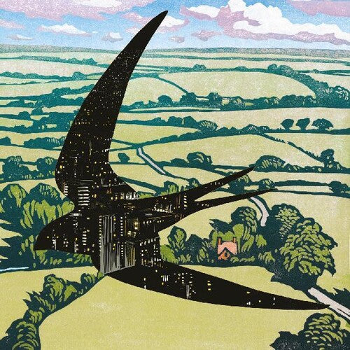 Bibio: Sleep On The Wing [ Record ]