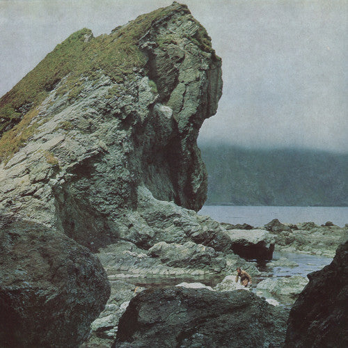 Motorama: Many Nights [ Record ]