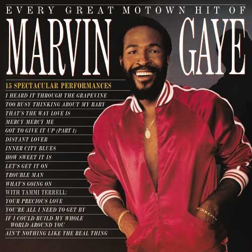 Marvin Gaye: Every Great Motown Hit Of Marvin Gaye: 15 Spectacular Performances [ Record ]