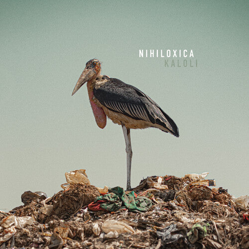 Nihiloxica: Kaloli [ Record ]
