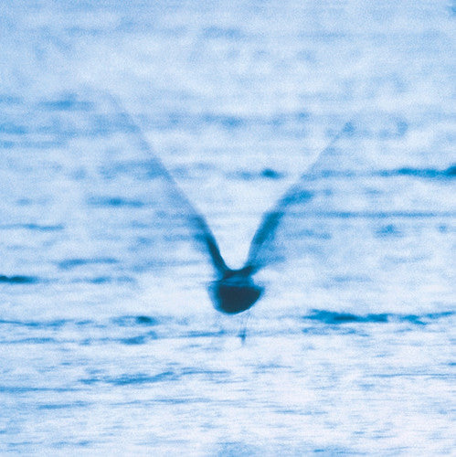 Ryo Fukui: Mellow Dream [ Record ]