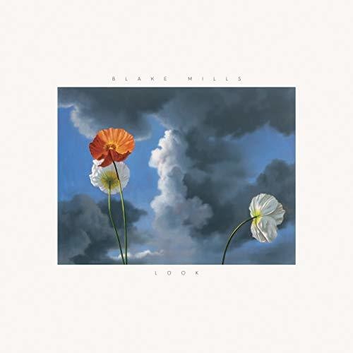 Blake Mills: Look [ Record ]