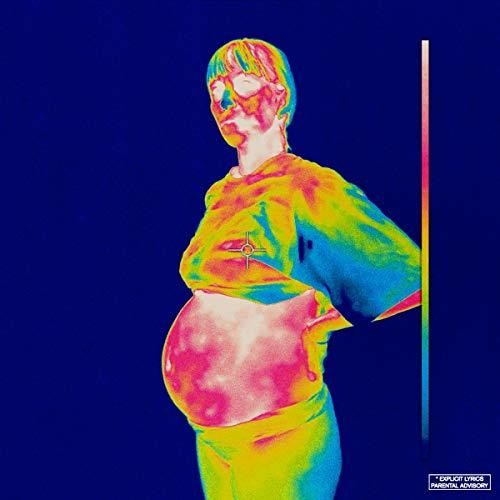 Brockhampton: Iridescence [ Record ]