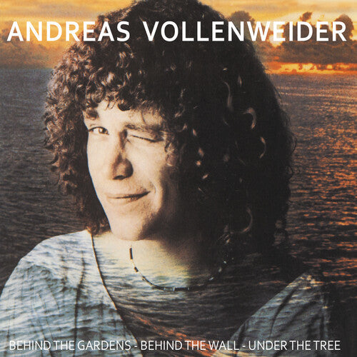 Andreas Vollenweider: Behind The Gardens - Behind The Wall - Under The Tree [ Record ]