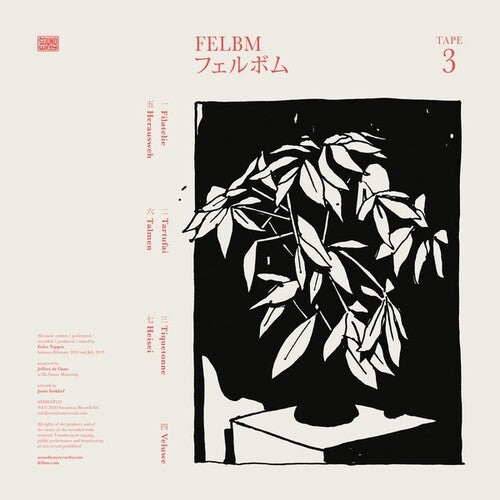 Felbm: Tape 3 / Tape 4 [ Record ]