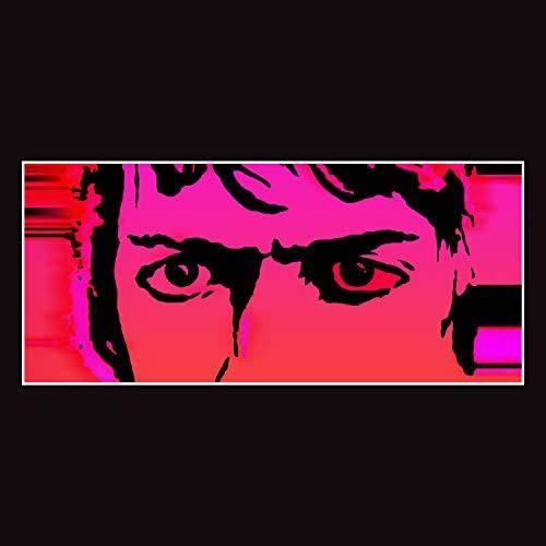 Delicate Steve: Till I Burn Up [ Record ]