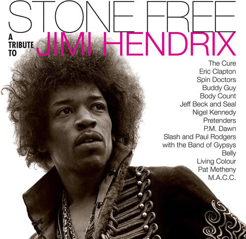 Jimmy Tribute Hendrix: Stone Free: Jimi Hendrix Tribute [ Record ]