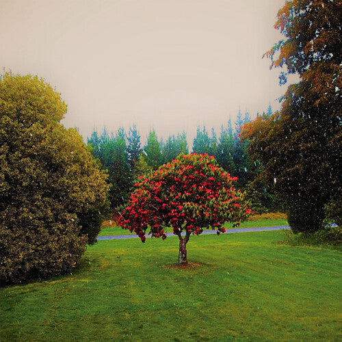 The Bats: Foothills [ Record ]