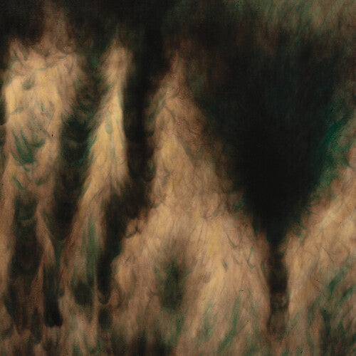 William Basinski: Lamentations [ Record ]