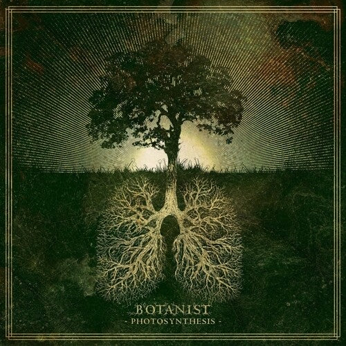 Botanist: Photosynthesis [ Record ]