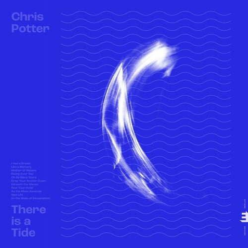 Potter, Chris: There Is A Tide [ Record ]