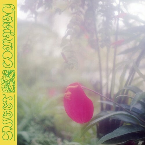 Jabu: Sweet Company [ Record ]