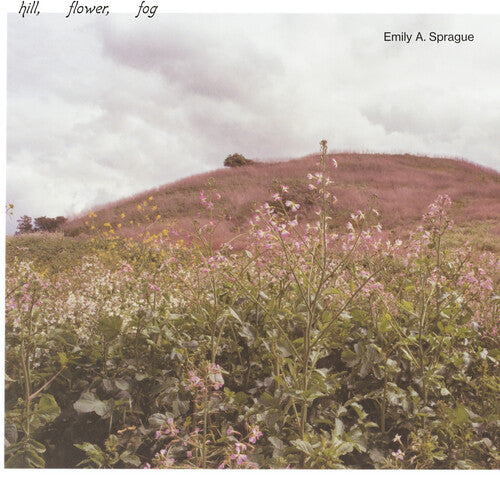 Emily a Sprague: Hill, Flower, Fog [ Record ]