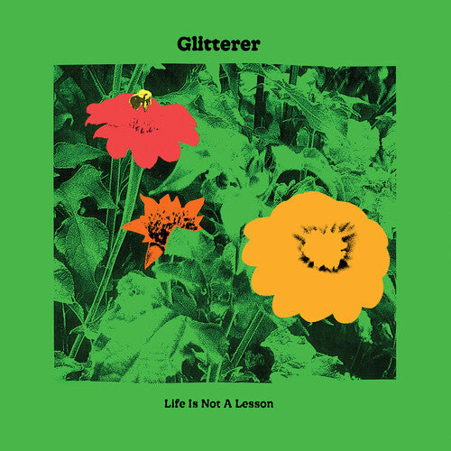 Glitterer: Life Is Not A Lesson [ Record ]