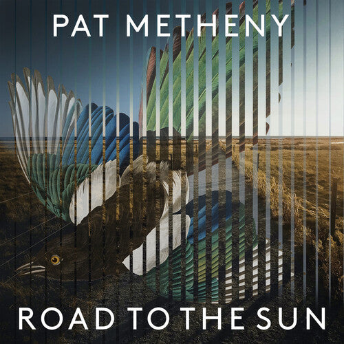 Pat Metheny: Road To The Sun [ Record ]