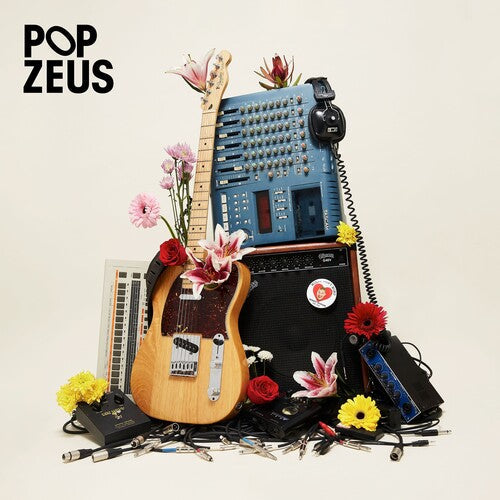 Pop Zeus: This Doesn't Feel Like Home (Unreleased Demos 2011-2014) [ Record ]