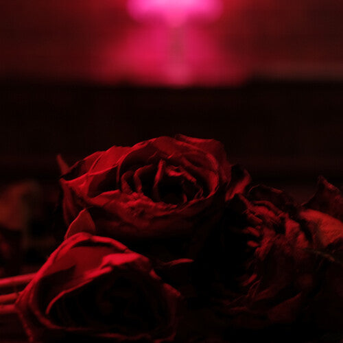 The Paper Kites: Roses [ Record ]