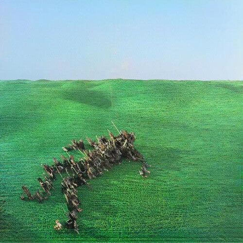 Squid: Bright Green Field [ Record ]