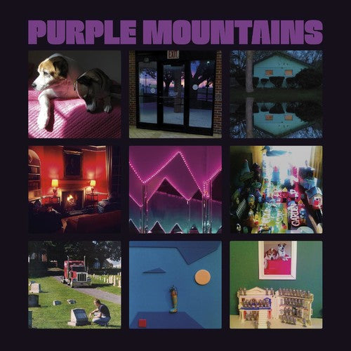 Purple Mountains: Purple Mountains [ Record ]