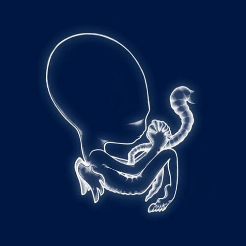 Sigur Ros: Agaetis Byrjun [ Record ]