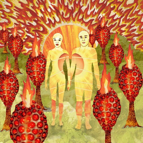Of Montreal: The Sunlandic Twins [ Record ]