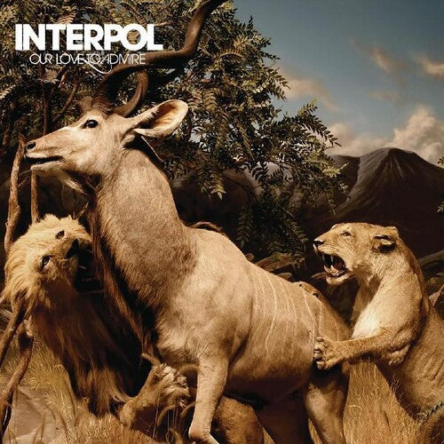 Interpol: Our Love To Admire [ Record ]