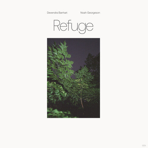 Devendra Banhart: Refuge (Blue Seaglass Wave Translucent Vinyl) [ Record ]
