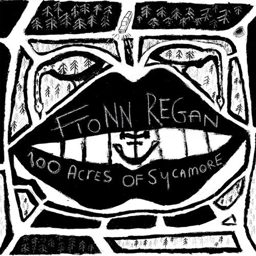Fionn Regan: 100 Acres Of Sycamore [ Record ]