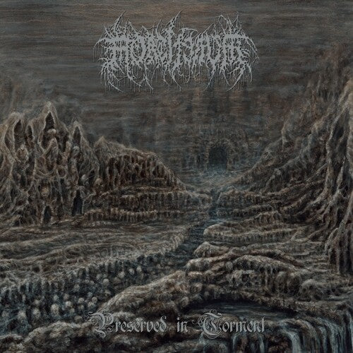 Mortiferum: Preserved In Torment [ Record ]