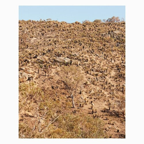 Pekler, Andrew & Ielasi, Giuseppe: Palimpsests [ Record ]