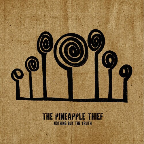 Pineapple Thief: Nothing But The Truth [ Record ]