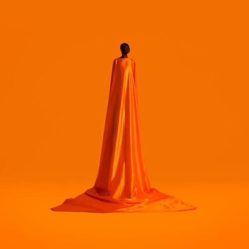 Wayne Snow: Figurine [ Record ]