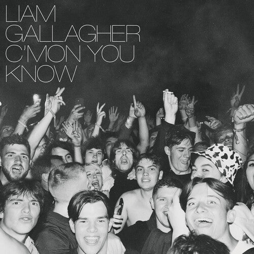 Liam Gallagher: C'mon You Know [ Record ]
