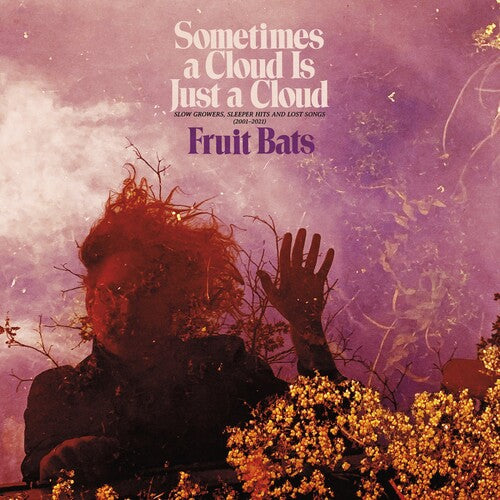 Fruit Bats: Sometimes a Cloud Is Just a Cloud: Slow Growers, Sleeper Hits and Lost Songs (2001–2021) [ Record ]