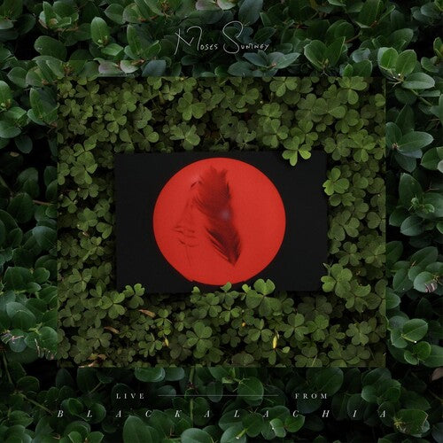 Moses Sumney: Live From Blackalachia (Clear Green) [ Record ]