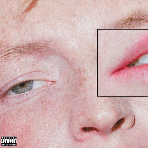 Greeting Committee: Dandelion [ Record ]