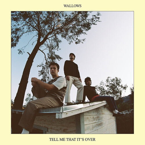 Wallows: Tell Me That It's Over [ Record ]