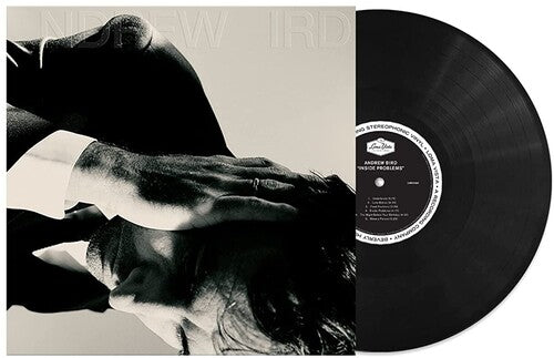 Andrew Bird: Inside Problems [ Record ]