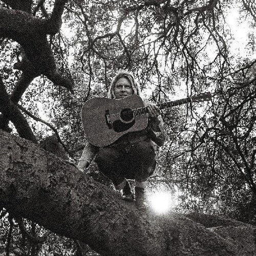 Ty Segall: Hello Hi [ Record ]